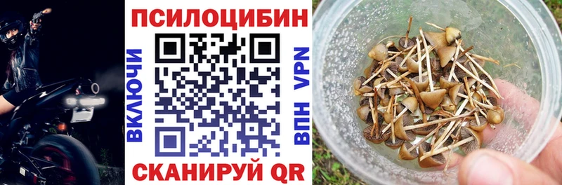 Галлюциногенные грибы Cubensis  Купить где  Гусев 